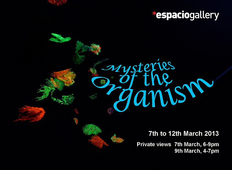 Ahmed Farooqui - Mysteries of the Organism at Espacio Gallery